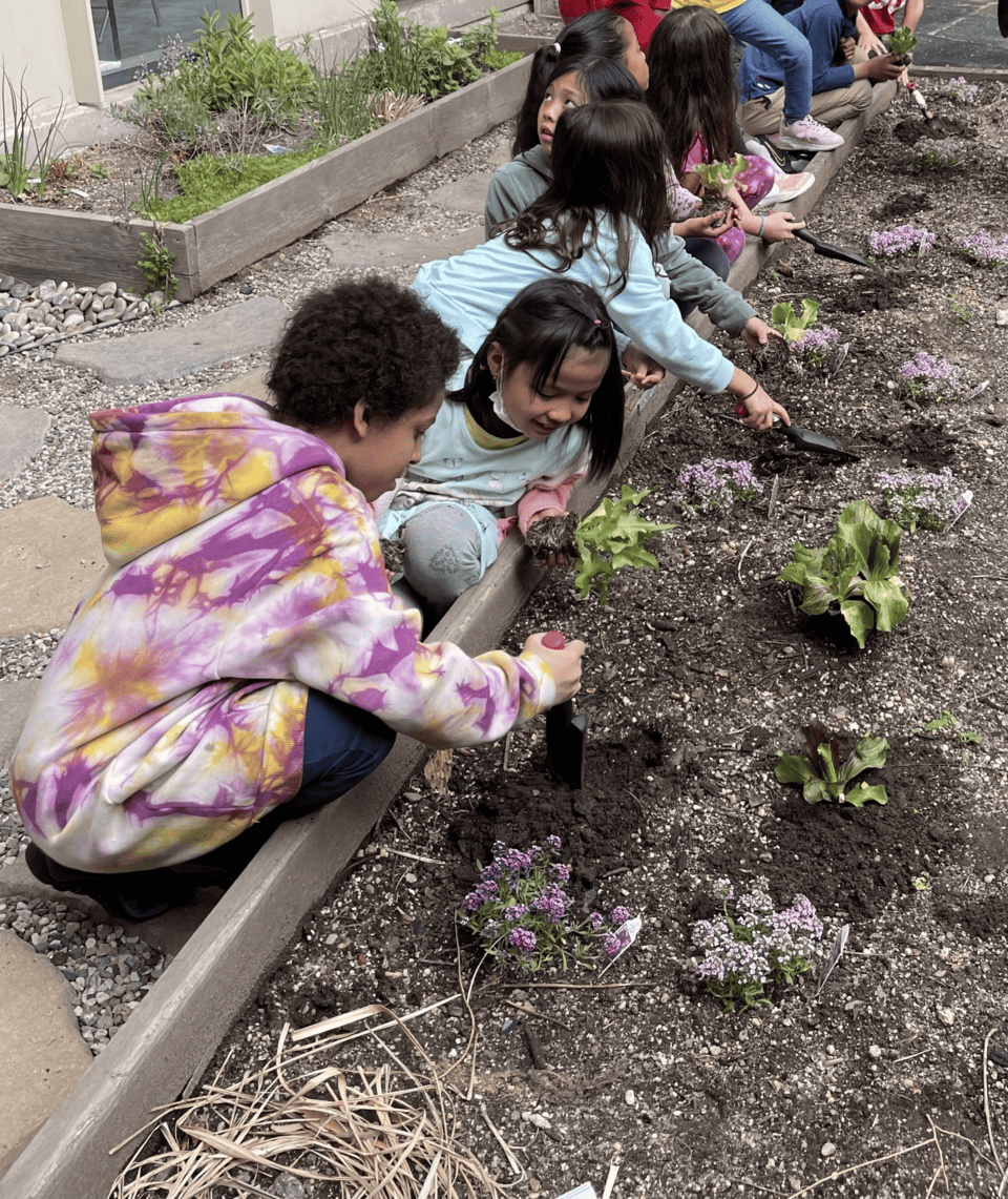 Environmental Learning Center